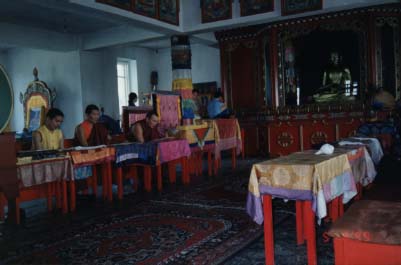 hamhure2.jpg (23232 bytes)
